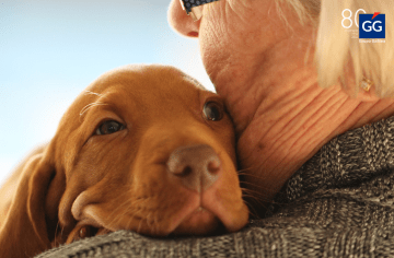 El seguro de responsabilidad civil de los perros será obligatorio a partir de septiembre