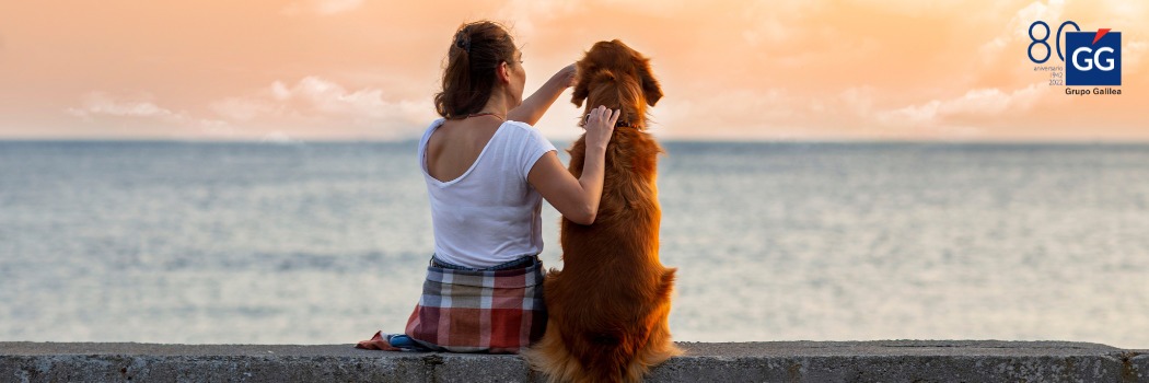 Se dispara el interés por los seguros para perros tras aprobarse la Ley de Bienestar Animal